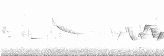 Common Yellowthroat - ML580038351