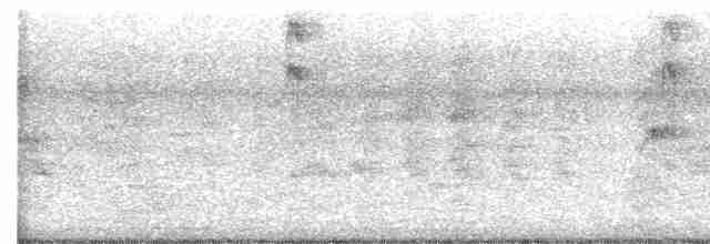 kukačka veverčí - ML580052181