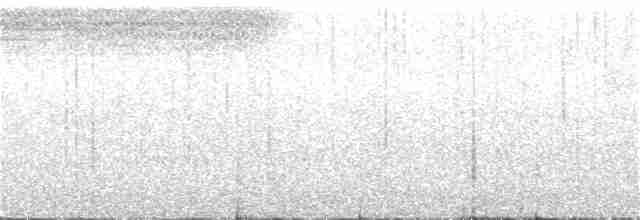 Anthrazitameisenvogel - ML58006381