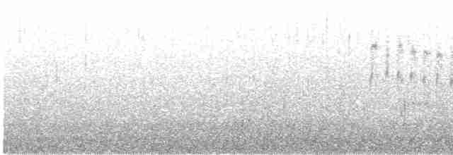 Серпокрилець білогорлий - ML580151591