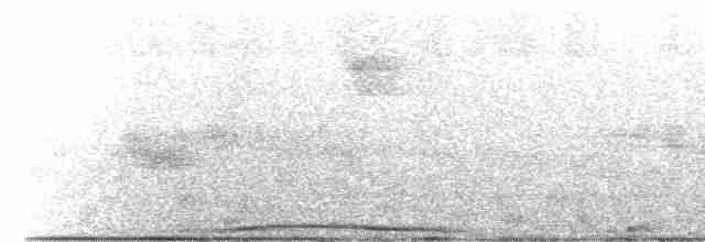 Желтоклювый голубь - ML580161811