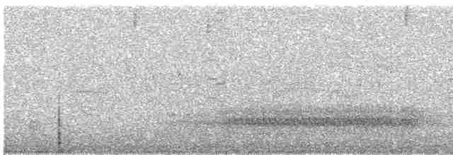 Тауї плямистий - ML580165601