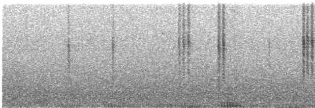 Цинантус синьогорлий - ML580165821