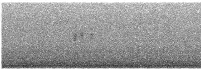 Mirlo Acuático Norteamericano - ML580192151
