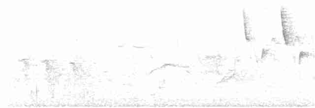Червоїд сіроголовий - ML58019851