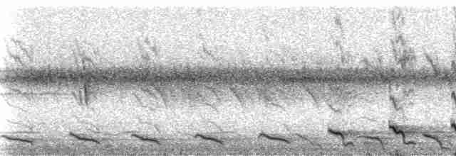 Méliphage de Viti Levu - ML5802