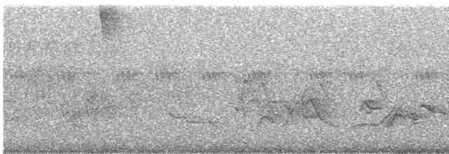Кедровый свиристель - ML580202161