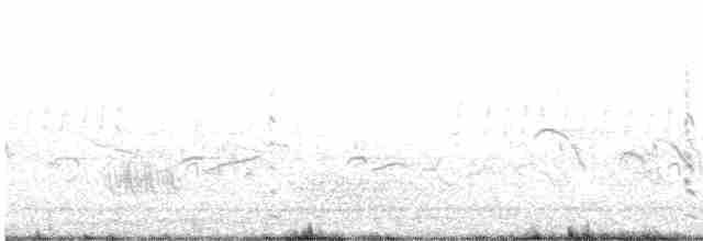Weißgesicht-Regenpfeifer - ML580206291