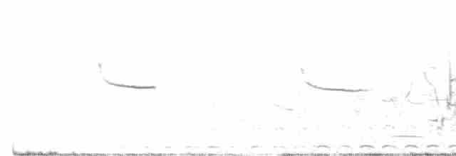 Büyük Çil Yelvesi - ML580210771