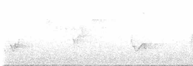 Kentucky Warbler - ML580221511