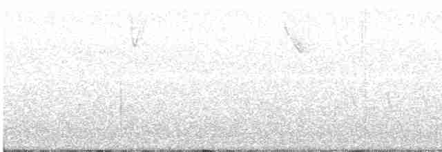 Field Sparrow - ML58023581