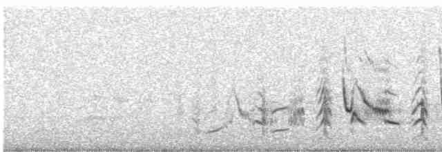 Тремблер кактусовий - ML580248141
