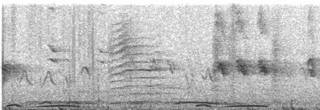 holub pruhoocasý - ML580249921