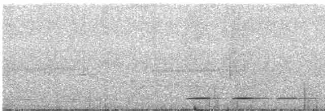 Polluela Pulcra - ML580254651