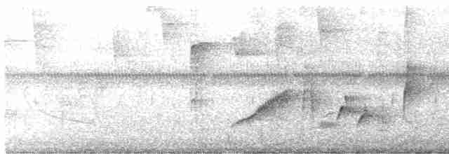 チャバラマユミソサザイ - ML580272901