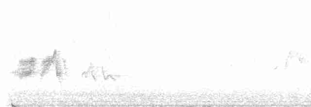 Червоїд сіроголовий - ML580283871