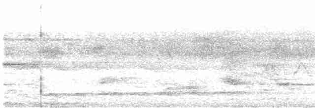 Белогорлая веерохвостка - ML580295571