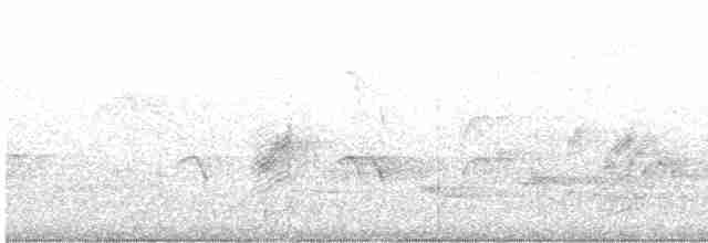 Черная райская мухоловка - ML580295961