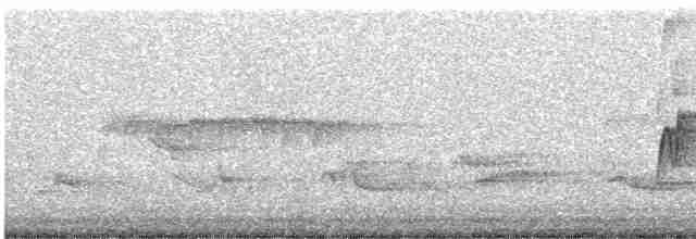 Acadian Flycatcher - ML580415781