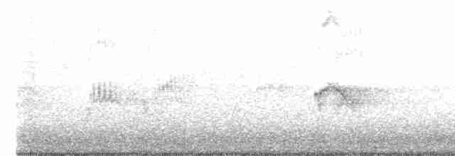 Evening Grosbeak (type 2) - ML580423091
