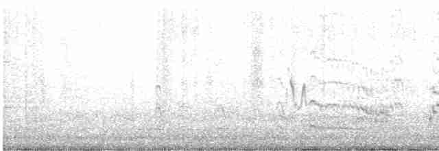 Common Tern - ML580445491