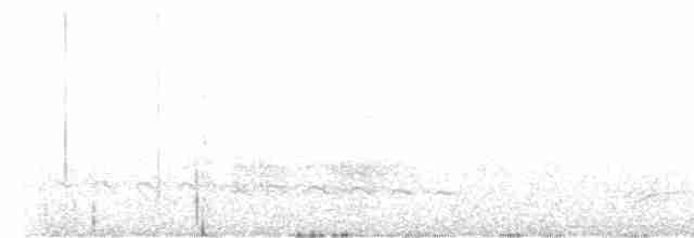 Thicket Tinamou - ML580457751