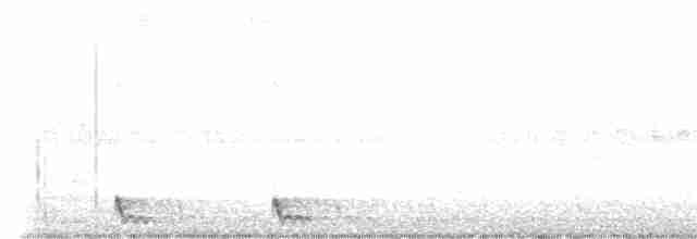 Large-tailed Nightjar - ML580458401