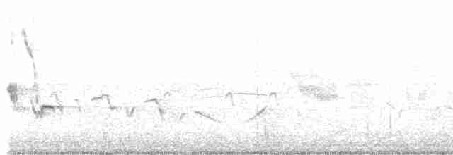 drozdec černohlavý - ML580491811