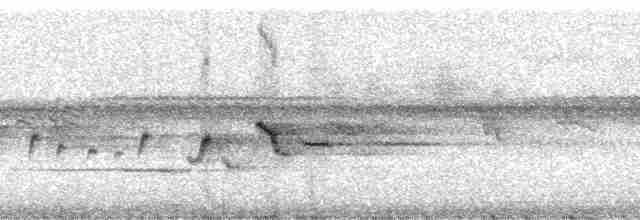 Pazifikscharlachschnäpper - ML5805