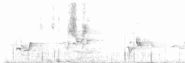 Cerulean Warbler - ML580533741