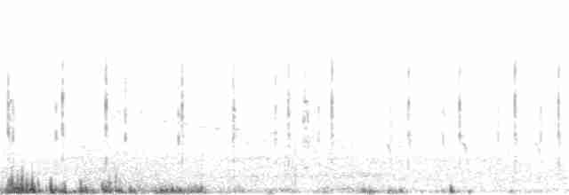 Büyük Çil Yelvesi - ML58054351