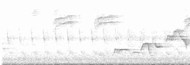 Дрізд-короткодзьоб Cвенсона - ML580567031