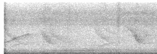 Rufous-naped Wren - ML580567261