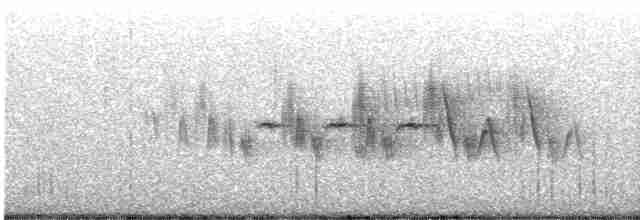 Black-throated Gray Warbler - ML580588951
