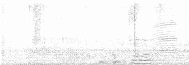 Large Gray Babbler - ML580589591