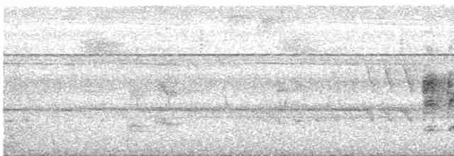 Blythparadiesschnäpper [affinis-Gruppe] - ML580598251