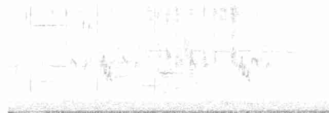 Paruline à gorge noire - ML580619211