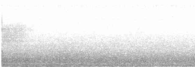 kalottparula (chryseola) - ML580665961