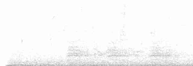 Белоглазый виреон [группа griseus] - ML580672531
