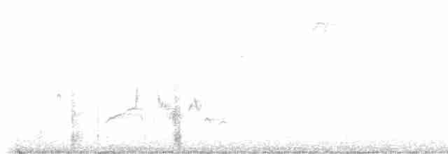 Vireo Ojiblanco - ML580792491