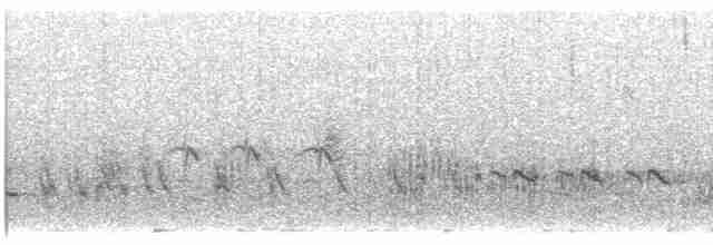 Great Reed Warbler - ML580796021