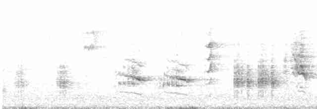 Great Reed Warbler - ML580799601