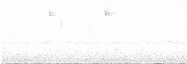 Pipromorphe à poitrine rousse - ML580808991
