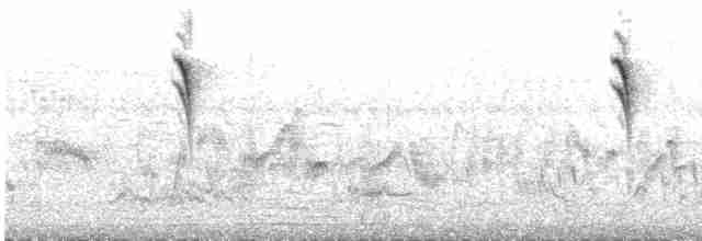 Желтоспинный ткачик [группа capensis] - ML580814071