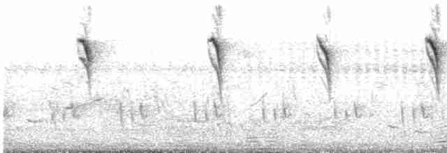 Желтоспинный ткачик [группа capensis] - ML580814211