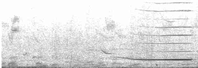 Gray-headed Bushshrike - ML580820411