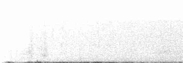 Голубокрылая червеедка - ML580820751