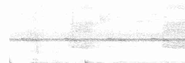 Graubrust-Ameisendrossel - ML580833731