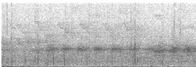 Rufescent Screech-Owl - ML580851401