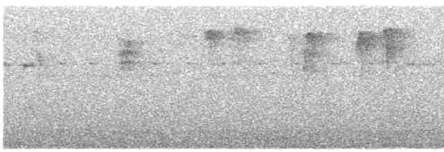 Чешуегорлый колибри-отшельник - ML580857711